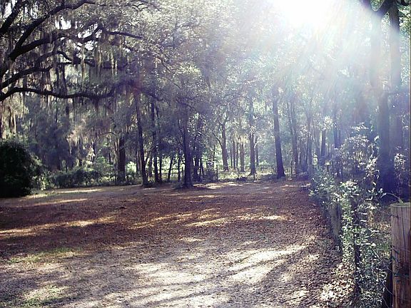 Front yard