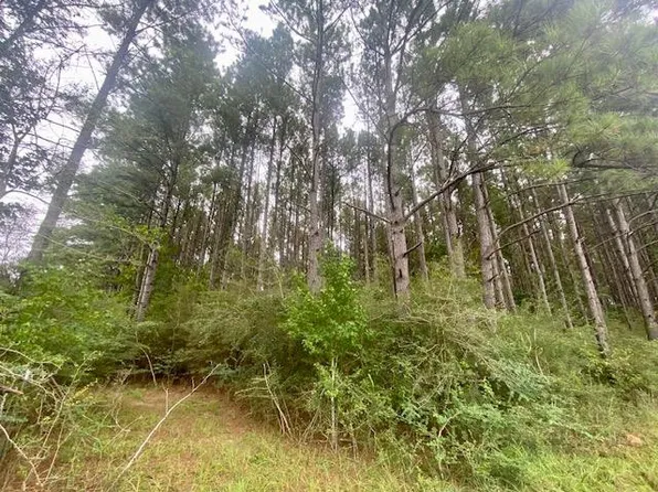 0 Airline Hwy, Tylertown, MS 39667