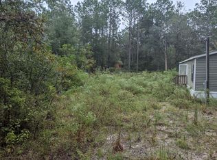 6202 NW 16th Ave, Bell, FL 32619