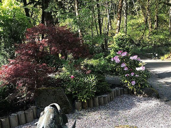 More Japanese garden