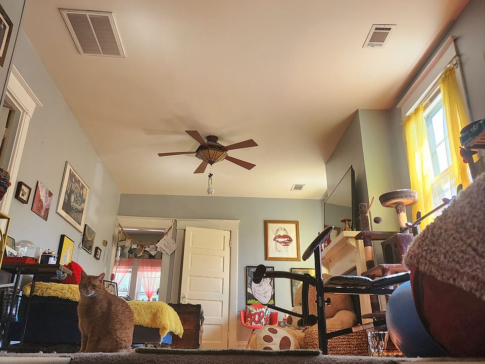 1st image of 245 Delmar Ave #245