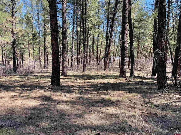 97 Dave's Place, Pagosa Springs, CO 81147