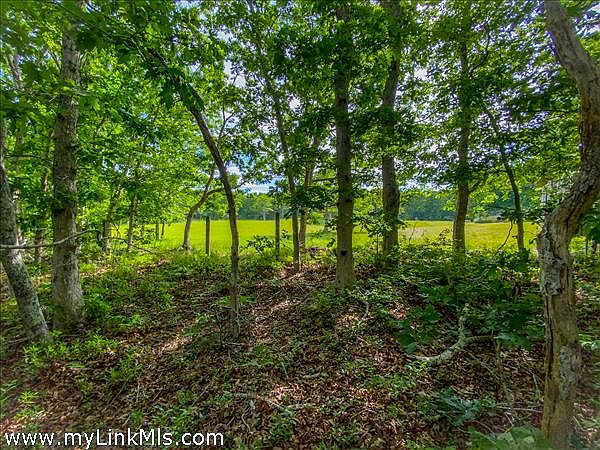 Meadow Views