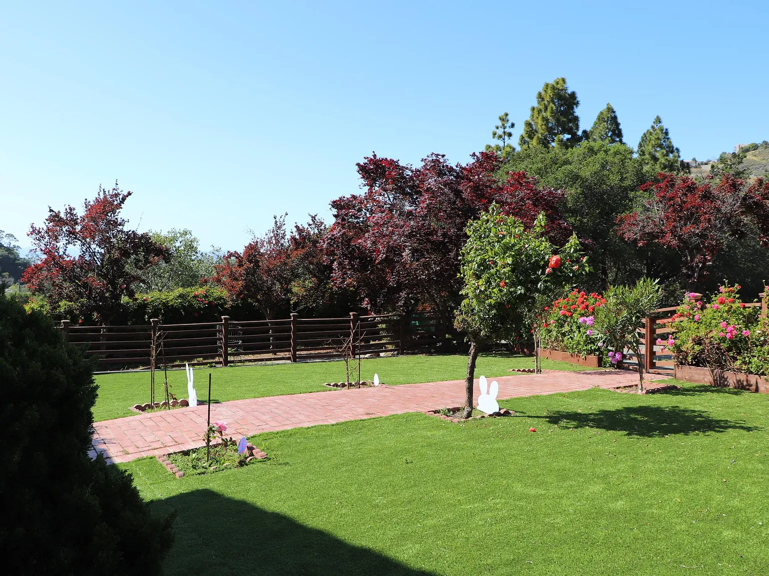 4 bed, 3.5 bath, 3165 sqft, $6,500 — Photo 4