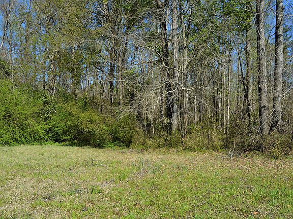 4th image of Lot 2 Us Hwy 117 S LOT 2