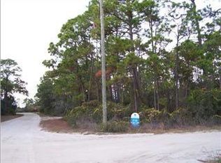 889 W Pine Ave, Saint George Island, FL 32328