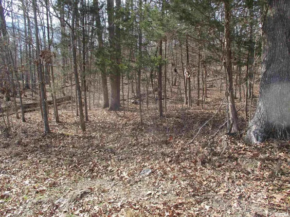 0 Lake Shore Dr N, Goreville, IL 62939