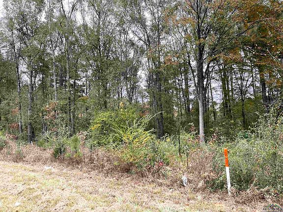 2nd image of Fm 31n