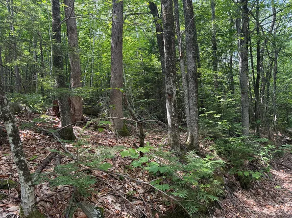 R3 L 2-2 Hampshire Hill Road, Mercer, ME 04957