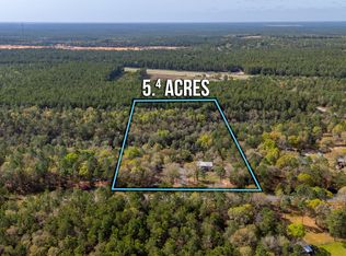 248 Elmwood Rd, Defuniak Springs, FL 32433