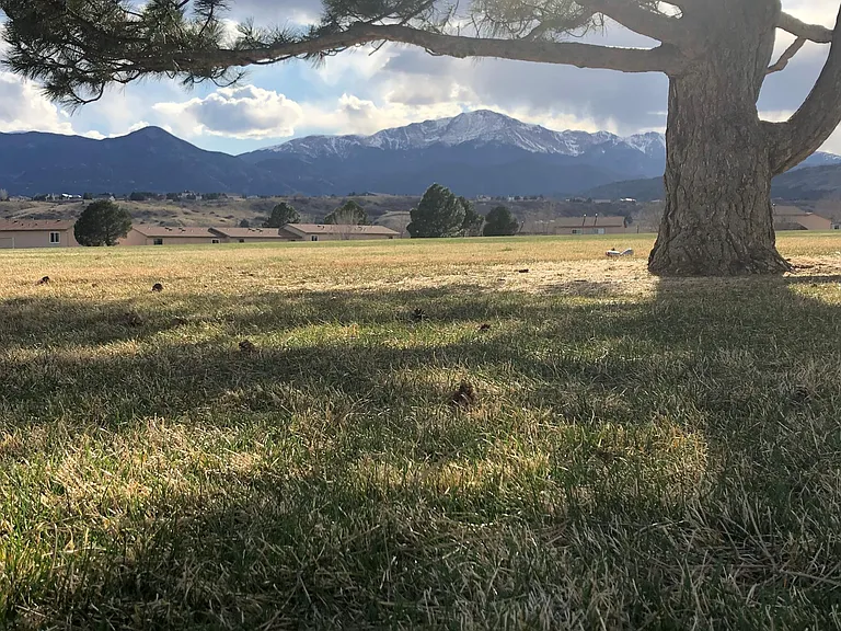 Jackson Park