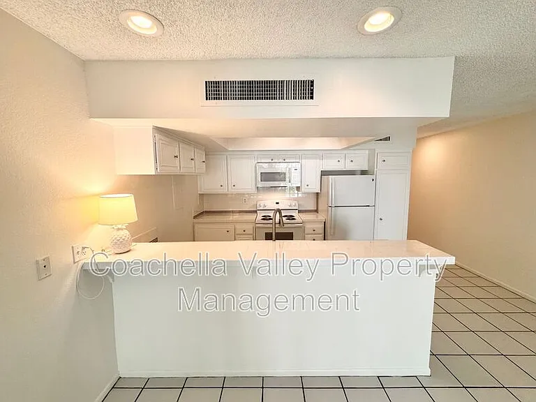 1655 E Palm Canyon Dr #513 — Photo 10