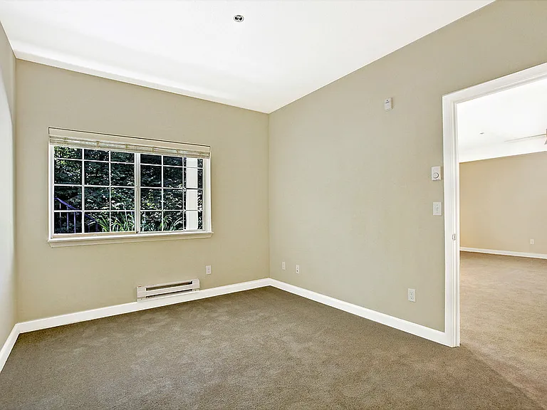 Shadowbrook — Photo 14