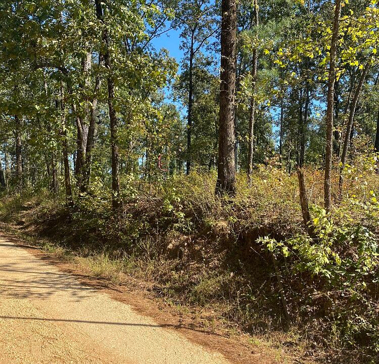 Road buffer of hardwoods