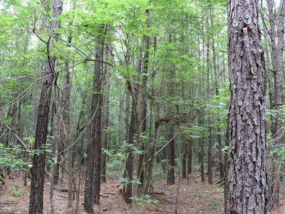 1 Mott Rd, Plain Dealing, LA, 71064