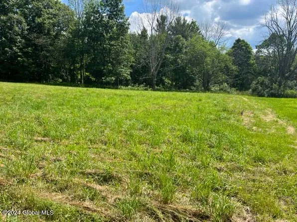 L16.111 Donlan Heights Road, Middleburgh, NY 12122