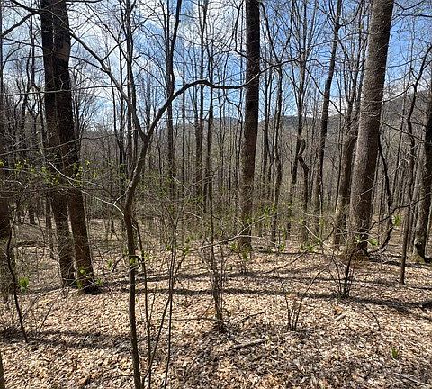 3rd image of TBD Bald Mountain Road