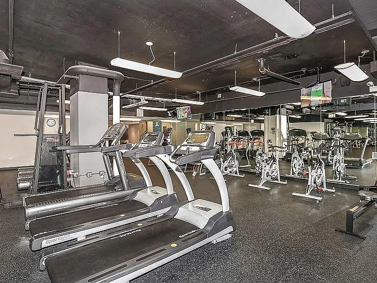 474 N Lake Shore Dr #4401 — Photo 14