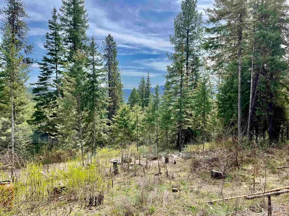 1700 Crystal Peak Rd, Fernwood, ID 83830