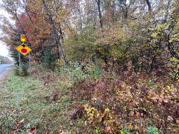 150 S Tower Hill Rd, Houghton Lake, MI 48629