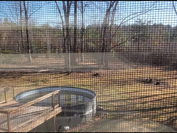 5th image of 3806 Amsbury Rd