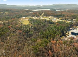 0 Lakewood Hwy, Mineral Bluff, GA 30559