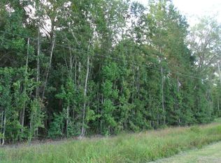 8800 Hendersonville Hwy, Yemassee, SC 29945