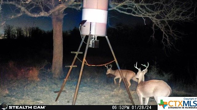 1st image of 3213 County Road 443