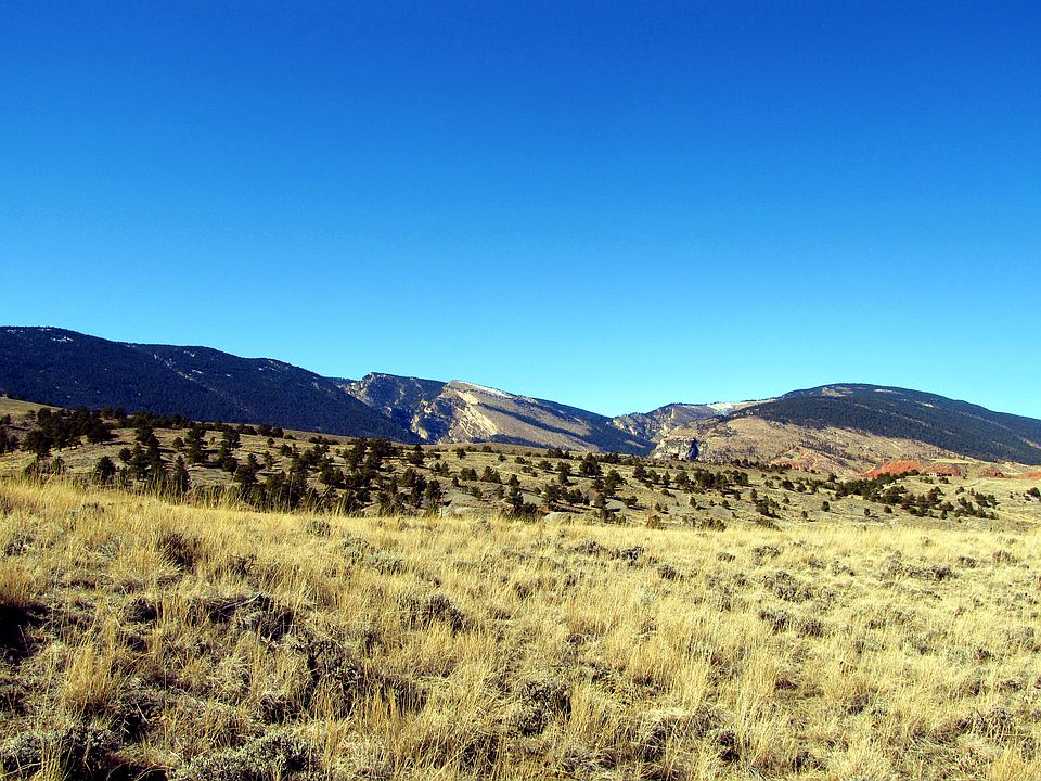 View along W property line