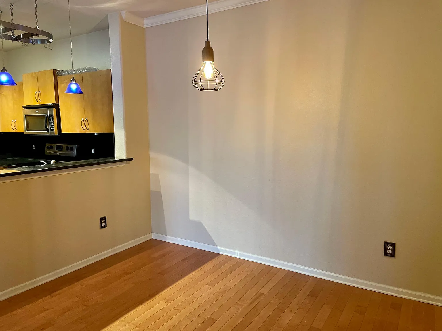 2 bed, 1100 sqft, $1,450 — Photo 4