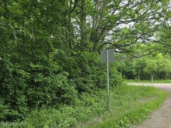 Vl N Lewis Rd, Clio, MI 48420