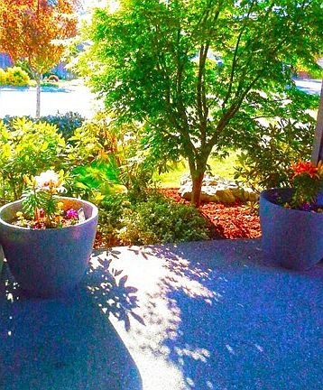 Gorgeous, mature landscaping in front and back yards!