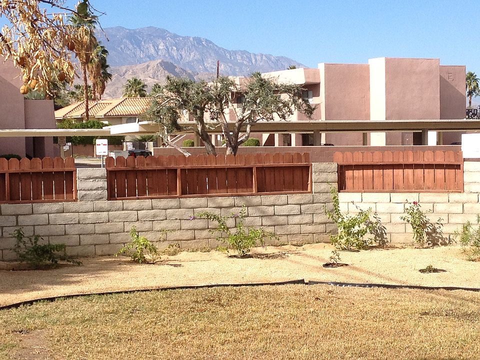 Mt. San Jacinto view