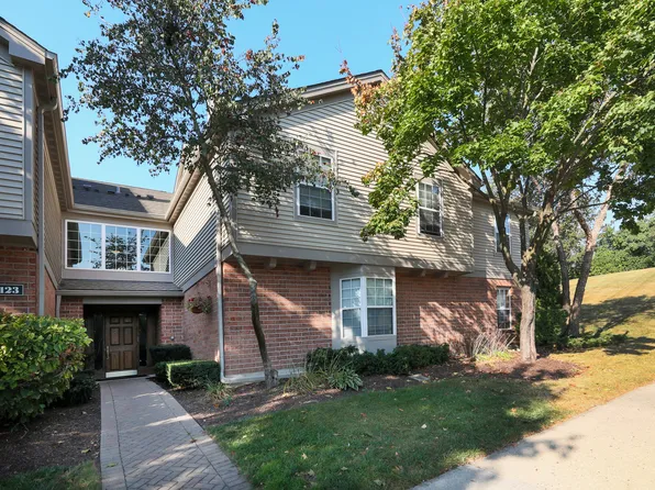 123 Willow Brook Ct APT 1, Schaumburg, IL 60195