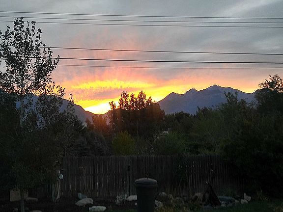 Mountain View out the back