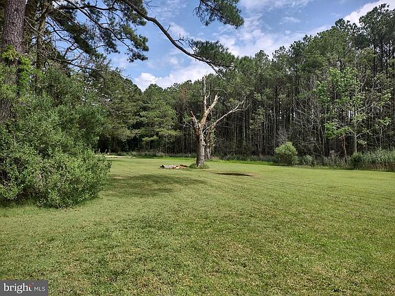 5th image of 3175 Boone Rd