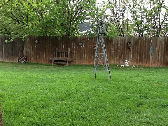 Back yard 
