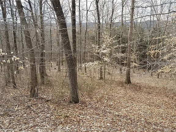 3rd image of 4655 S Calloway Dr