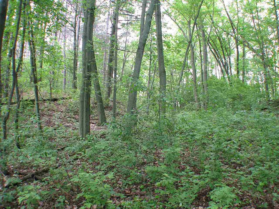 2nd image of Oxbow Trl