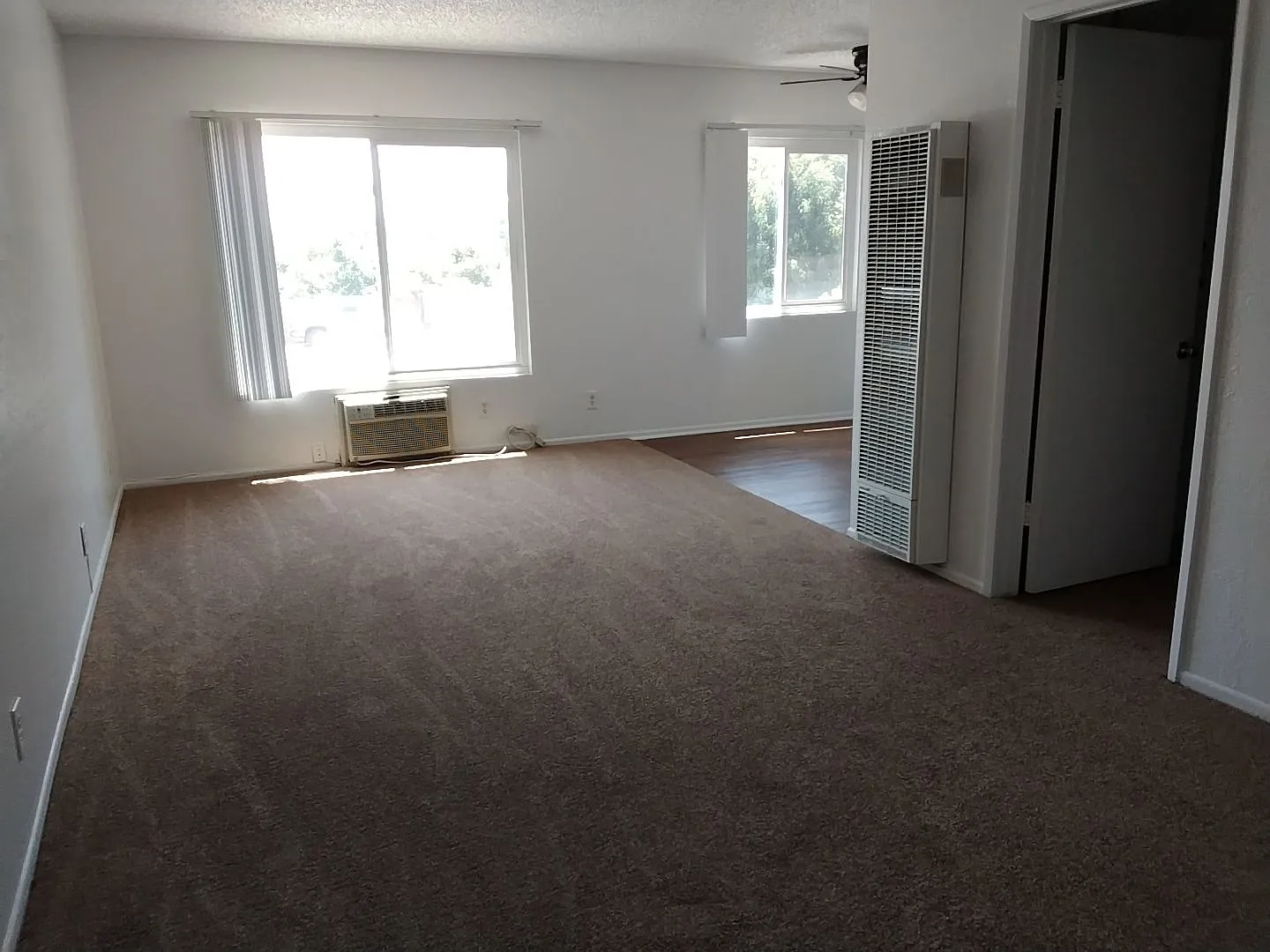 Singer Cedar 9852-54 Cedar — Photo 4