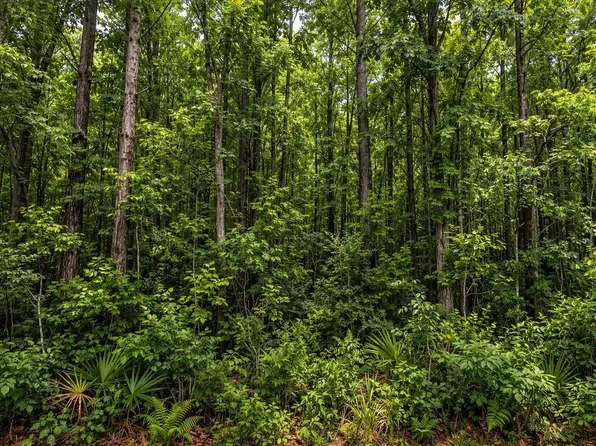 0 Robert Pl, Mullins, SC 29574