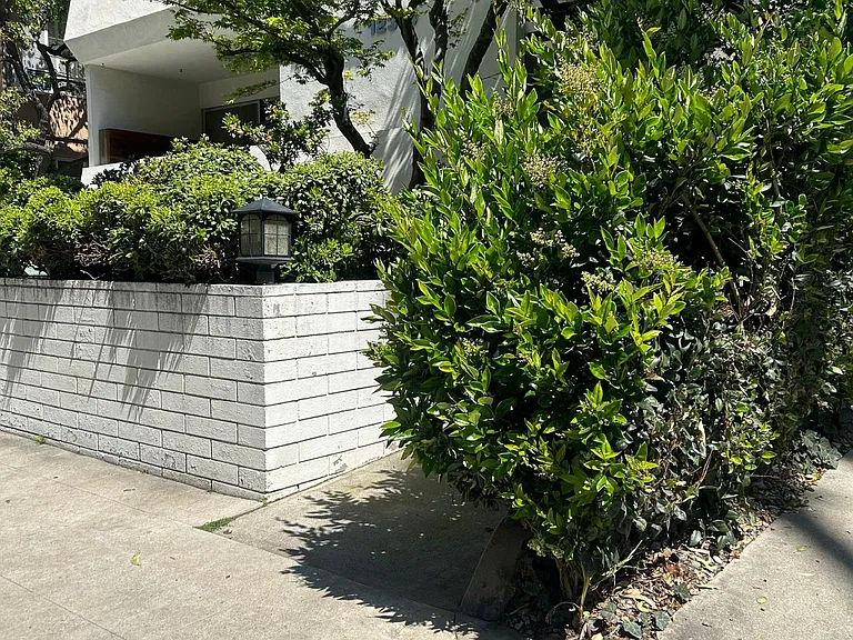 Side of building w/lush greenery