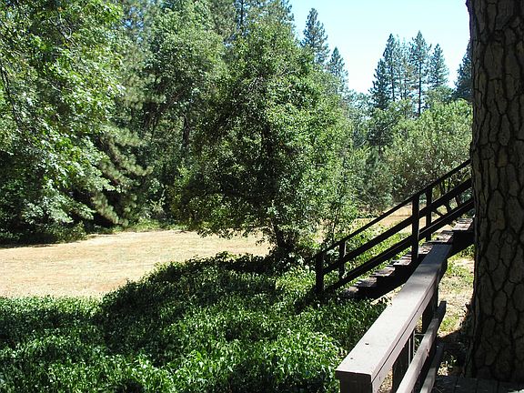 2 acres of old orchid land