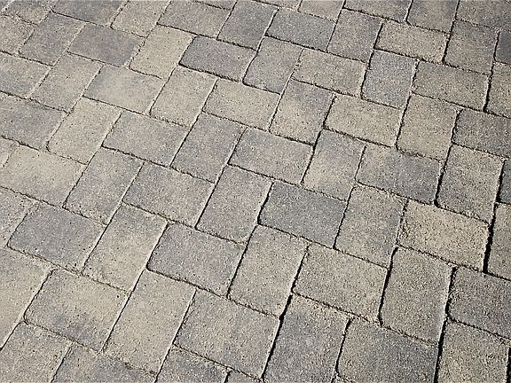 5th image of 1513 Kingston Xing