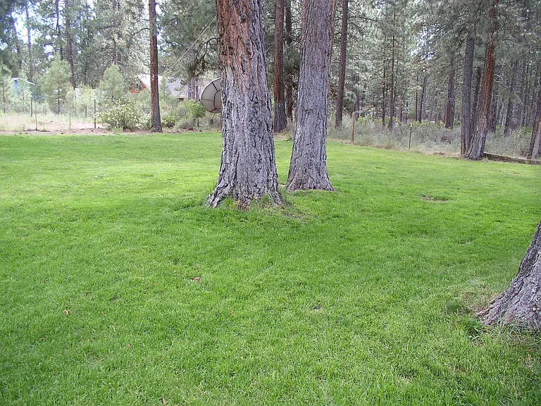 19223 Apache Rd — Photo 15