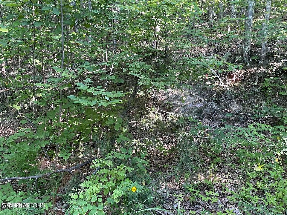 1st image of 22 Elderberry Dr Lot 22