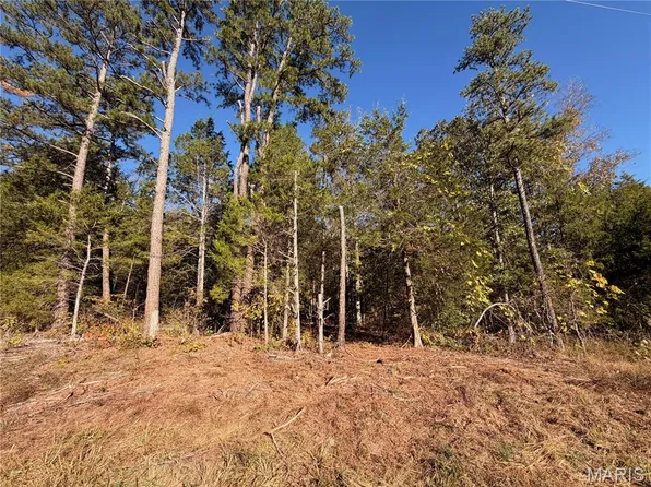 LOT Highway 32 #A, Farmington, MO 63640