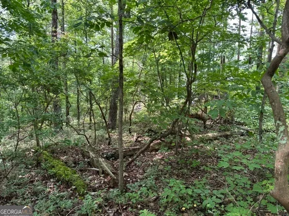 1472 Hanna Dr, Ranger, GA 30734