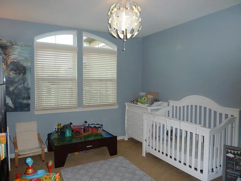 49002 Cinnamon Fern Cmn #503 — Photo 13