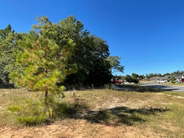 13.24 Ac Willow Crk, Crestview, FL 32539